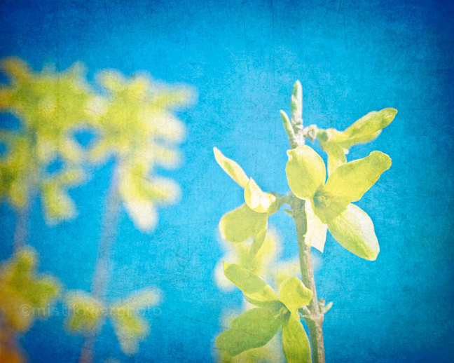 Spring-Interior-Design-Ideas_ decorating blue yellow flower print